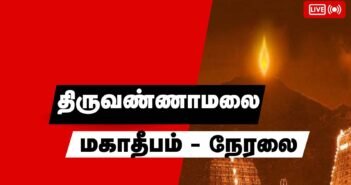 மலை உச்சியில் கார்த்திகை மகா தீபம் ஏற்றப்பட்டது