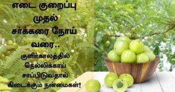 குளிர்காலத்தில் நெல்லிக்காய் சாப்பிடுவதால் கிடைக்கும் அற்புத பலன்கள்!