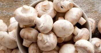 இந்த பிரச்சனை இருப்பவர்கள் காளான் சாப்பிடுவதை தவிர்பது நல்லது : எப்போது ஆபத்தாக மாறும்..?