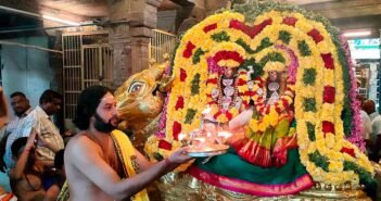 திருநள்ளாறு: தங்க ரிஷப வாகனத்தில் எழுந்தருளிய ஶ்ரீதர்ப்பாரண்யேஸ்வரர்; பக்தர்கள் தரிசனம்! |news about Tirunallar Sri Saneeswara Bhagwan Temple maha shivaratri celebration