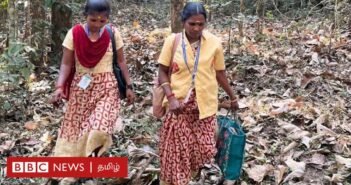 நீலகிரி: ‘மரத்திற்குப் பின்னால் யானையே நின்றாலும் தெரியாது’ – ஆபத்தான காட்டு வழியில் பயணிக்கும் ஆஷா பணியாளர்கள்