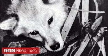 மனிதனுக்கு முன்பே விண்வெளிக்குச் சென்ற ‘லைக்கா’ நாய் எவ்வாறு இறந்தது?