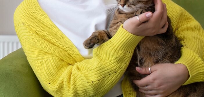 செல்லப் பிராணிகள் வளர்த்தால் அலர்ஜி வருமா… நோய் எதிர்ப்பாற்றல் கூடுமா? | Does raising pets cause allergies, or does it boost immunity?