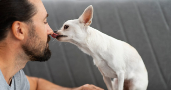 வளர்ப்பு நாய் நக்கியதால் தொற்று, மாரடைப்பு… இப்படியும் நடக்க வாய்ப்பு உண்டா? | Infection and heart attack just from a pet dog’s lick… Is it really possible for something like this to happen?