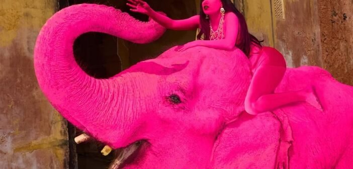 பிங்க் யானை: ரஷ்யப் புகைப்படக் கலைஞரின் வைரல் 'கலை' முயற்சிக்குக் கிளம்பிய எதிர்ப்பு!