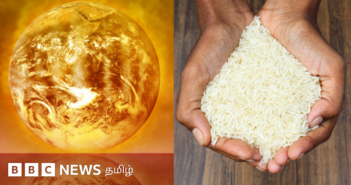 எல் நினோவால் இந்தியாவில் உணவுப் பொருட்கள் விலை உயருமா? – விவசாயிகள் முதல் மீனவர்கள் வரை சந்திக்க இருக்கும் சவால்கள்