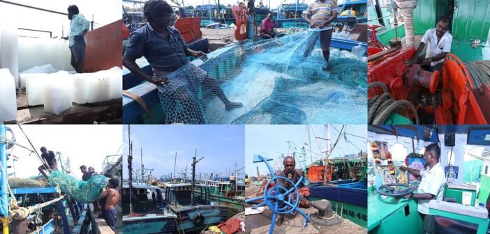 தமிழகத்தில் மீன்பிடித் தடைக் காலம் முடிவு! – நள்ளிரவு முதல் கடலுக்குச் செல்லும் மீனவர்கள்